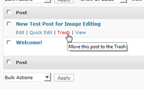 wordpress_29_trash_post