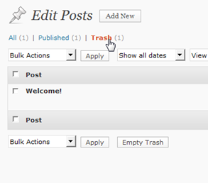 wordpress_29_trash_post_view